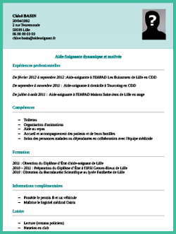 Exemple De Cv